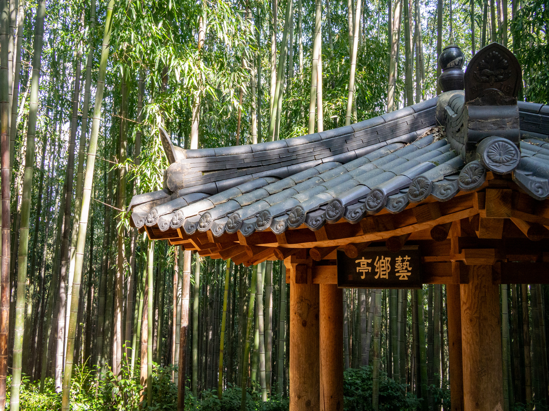 South Korea